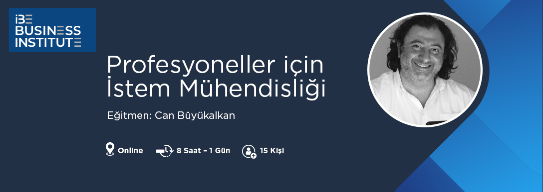 Profesyoneller için İstem Mühendisliği