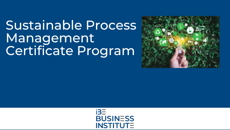 Sustainable Process Management Training Program